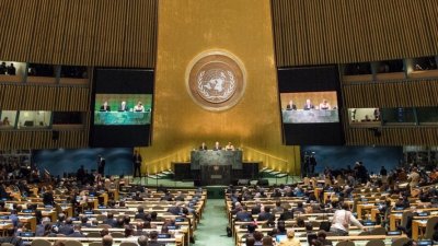 Израильский постпред на Генассамблее ООН рекомендовал звонить главе ХАМАС тем, кто хочет прекращения огня в Газе